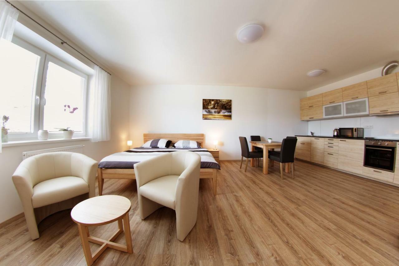 Apartmany Lipno 510 伏尔塔瓦河畔利普诺 外观 照片